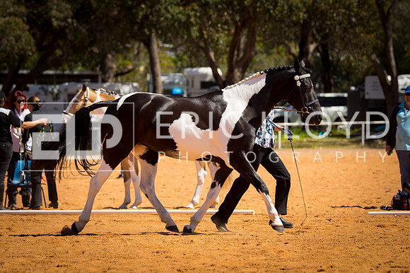 untitled-8755