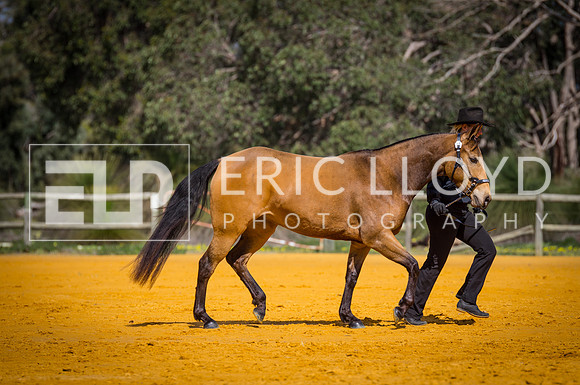 untitled-0454