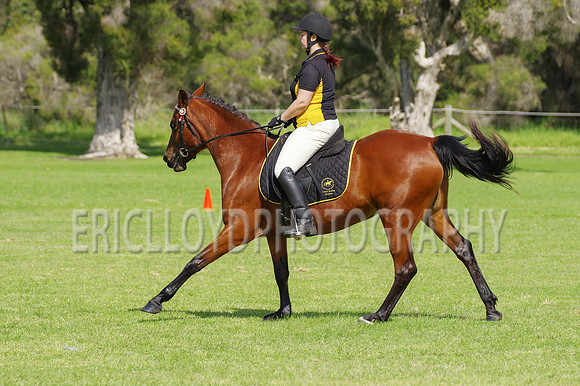 ARCA WH 2014-6589
