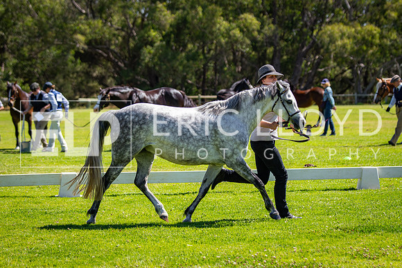IMGP7362