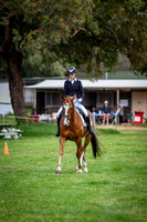 Western Hay CCI 3 star - s