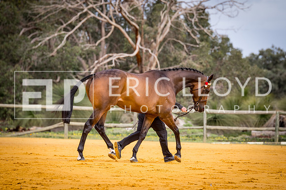 untitled-0694