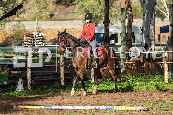 DSCF3668