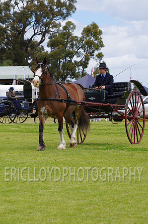 Jess-4131