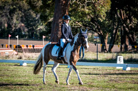 DSCF0381