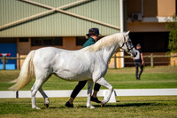 IMGP8096