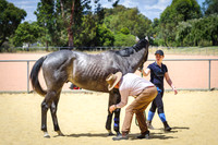 IMGP3711
