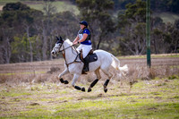 Ascot Equine Vets EvA95