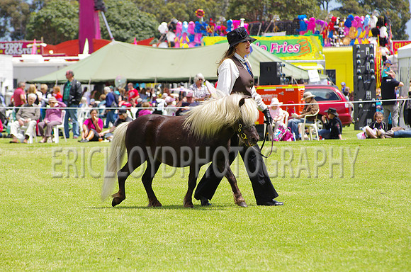Jess-3808