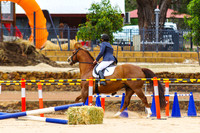IMGP1352