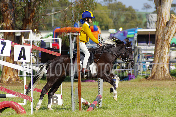 Bev Ag 2014-5134
