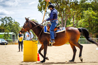 IMGP2803