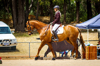 IMGP2543