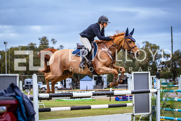 IMGP0132