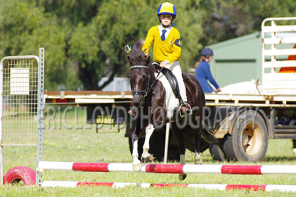 Bev Ag 2014-5131
