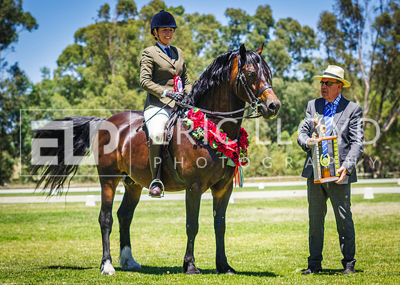 IMGP9655
