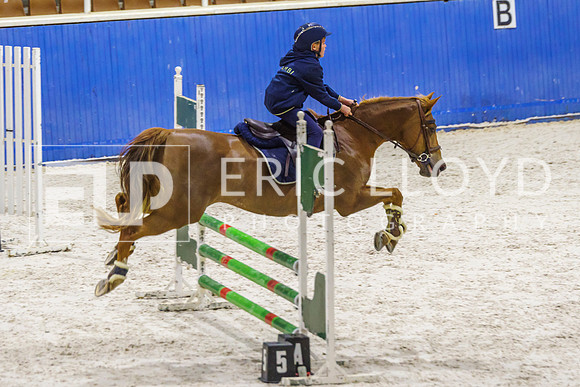 IMGP1453