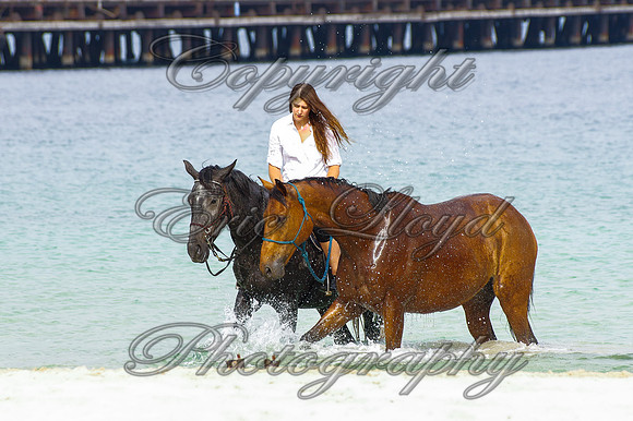 IMGP2489