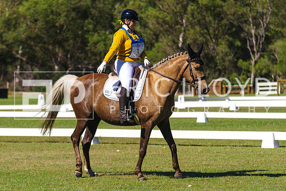 IMGP0454