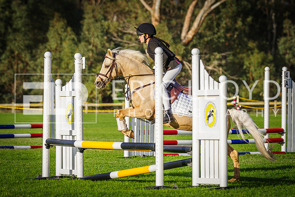 IMGP2441