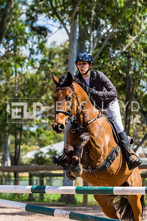 IMGP1754