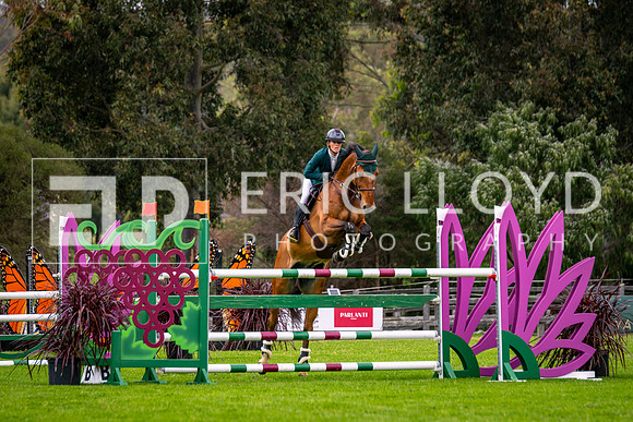 IMGP2551