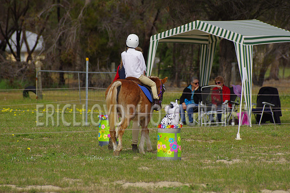 Bev Ag 2014-5110