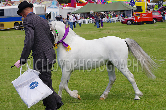 Jess-2989