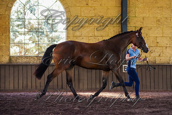 Brookleigh-9913