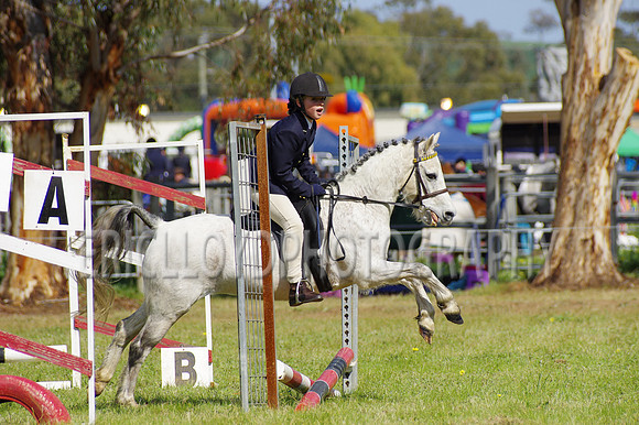Bev Ag 2014-5128