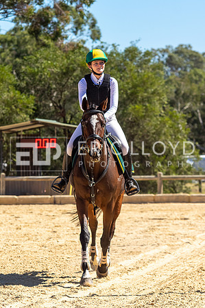IMGP5182