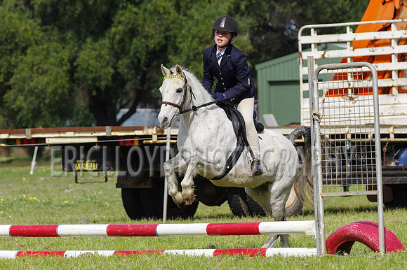 Bev Ag 2014-5125