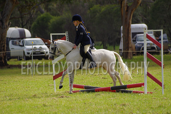 Bev Ag 2014-5100