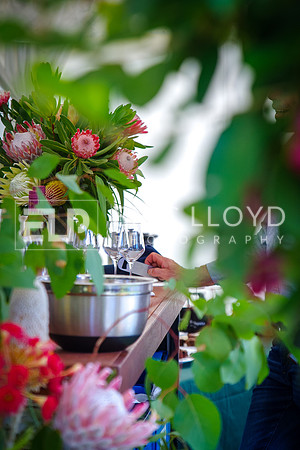 ELP_0582
