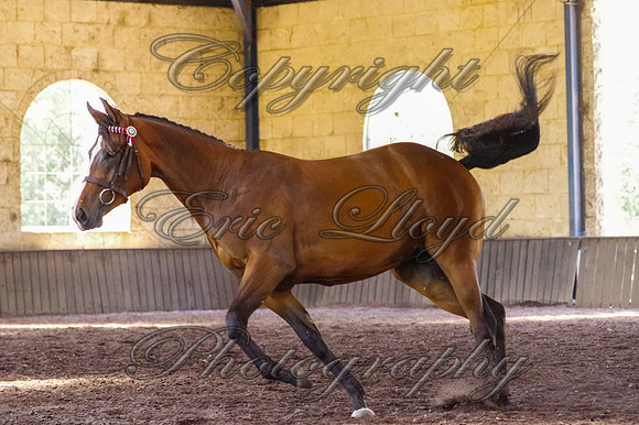 Brookleigh-9931