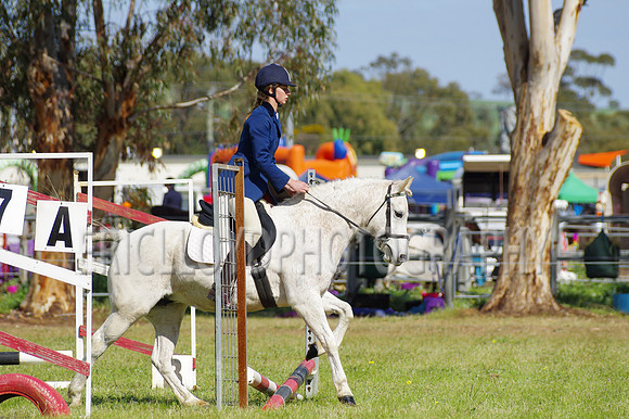 Bev Ag 2014-5139