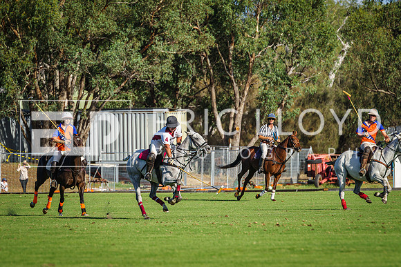 IMGP5556