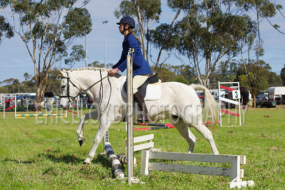 Bev Ag 2014-5140