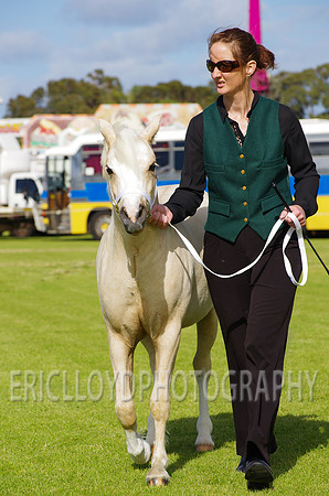 Jess-2394