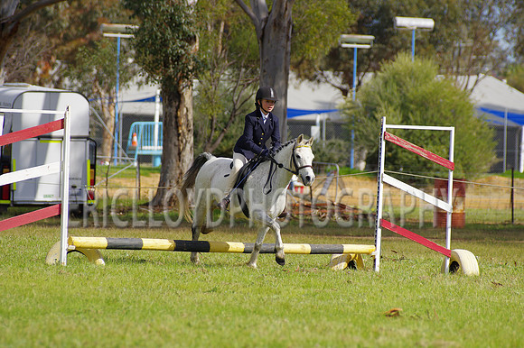 Bev Ag 2014-5126
