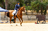 IMGP1324