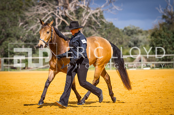 untitled-0463