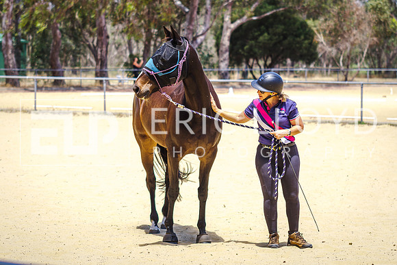IMGP4200