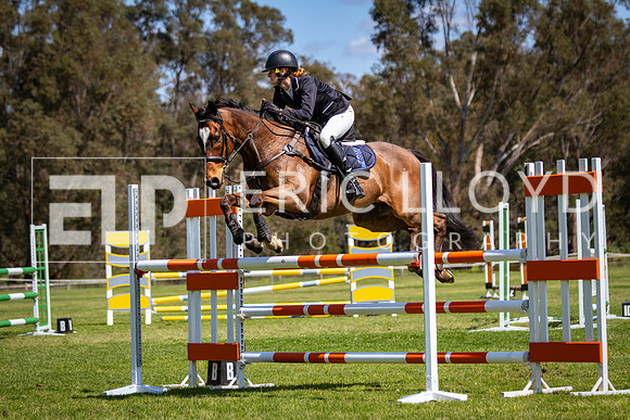 IMGP8166