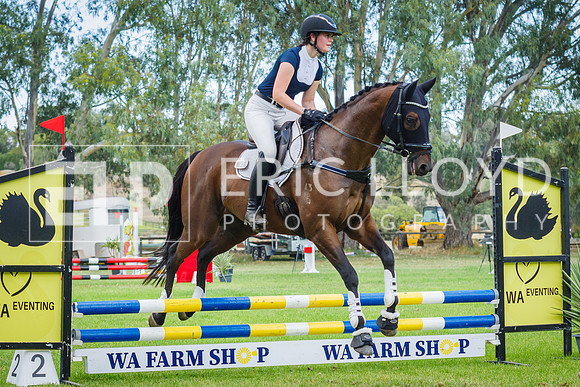 ROYL9153